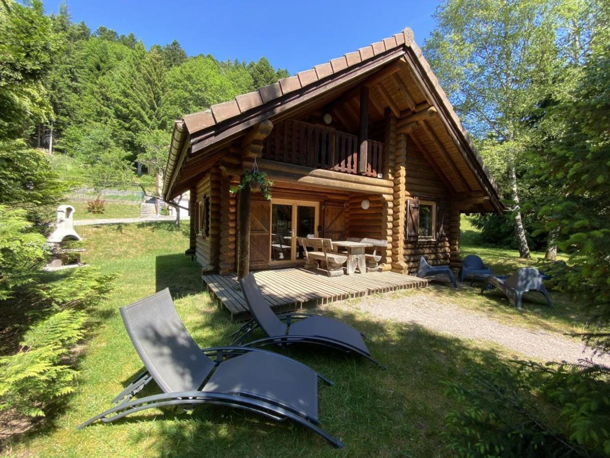 L'Ours Noir Chalet En Rondins La Bresse Ngoại thất bức ảnh